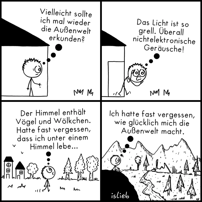 Der Comic besteht aus vier Bildern und zeigt die Erlebnisse einer einfachen Figur, die das Haus verlässt.

Bild 1: Die Figur steht im Haus an der offenen Tür, blickt nach draußen und denkt: „Vielleicht sollte ich mal wieder die Außenwelt erkunden?“

Bild 2: Die Figur tritt ins Freie, schirmt ihre Augen mit der Hand ab und denkt: „Das Licht ist so grell. Überall nichtelektronische Geräusche!“

Bild 3: Die Figur geht spazieren, blickt nach oben zu Vögeln am Himmel und denkt: „Der Himmel enthält Vögel und Wölkchen. Hatte fast vergessen, dass ich unter einem Himmel lebe...“

Bild 4: Die Figur sitzt ruhig auf einem Hügel mit Blick auf Berge, Bäume und einen Fluss. Sie denkt: „Ich hatte fast vergessen, wie glücklich mich die Außenwelt macht.“