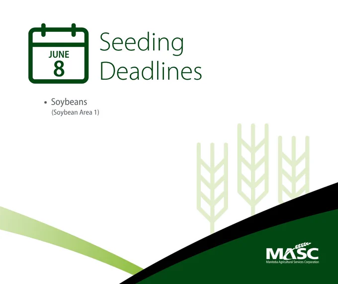 Calendar icon showing June 8 as the seeding deadline for soybeans in Soybean Area 1 by MASC.