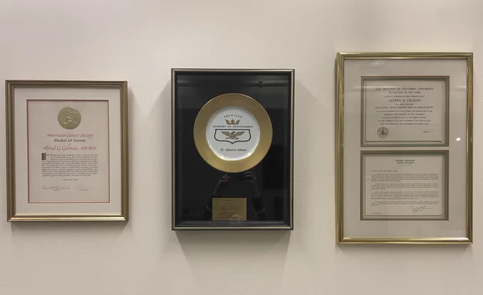 Three items hanging on a white wall. The one on the left is a framed certificate for the American Cancer Society Medal of Honor given to Dr. Gilman. The one in the middle is a shadow box containing a gold and white plate honoring Dr. Gilman's admittance to the American Academy of Achievement. The one on the right is the framed Louisa Gross Horwitz Prize in Biochemistry from Columbia University.