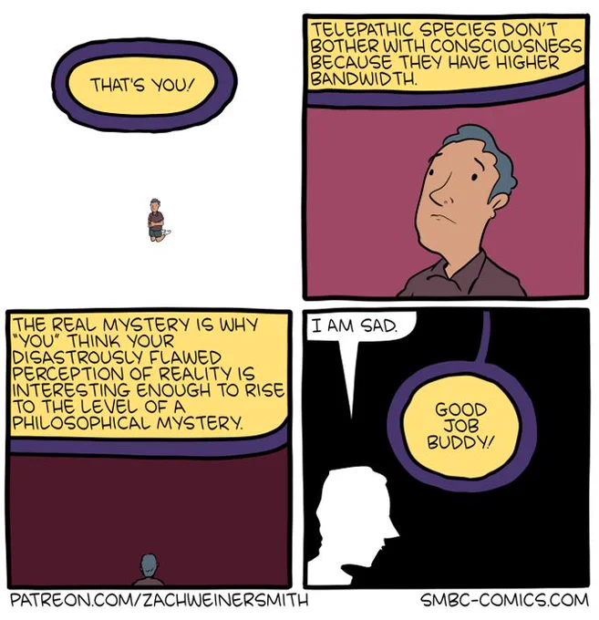 Part 2/2 of an 8-panel SMBC comic update. God ends his explanation by saying "that's you!" and adds "telepathic species don’t bother with consciousness because they have higher bandwidth. The real mystery is why 'you' think your disastrously flawed perception of reality is interesting enough to rise to the level of a
philosophical mystery." The man reacts to this by hanging his head low and saying "I am sad" to which God replies "Good job buddy!"