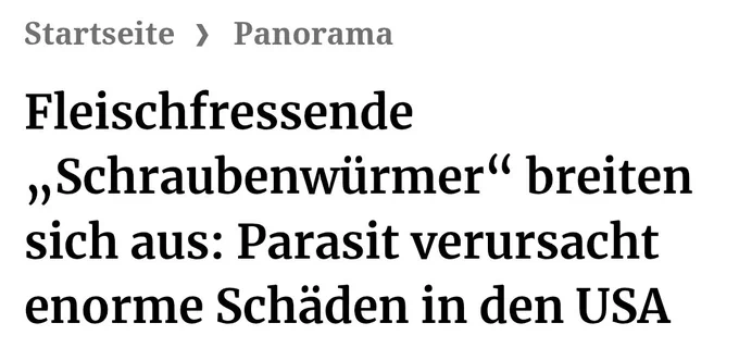 Fleischfressende

„,Schraubenwürmer" breiten sich aus: Parasit verursacht enorme Schäden in derUSA
