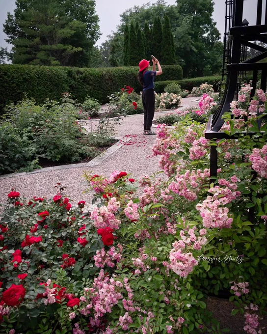 The Canadian Heritage Garden, with a gravel path and pink and red flowers in the foreground, and a person in a red hat, hedges, and trees in the background.