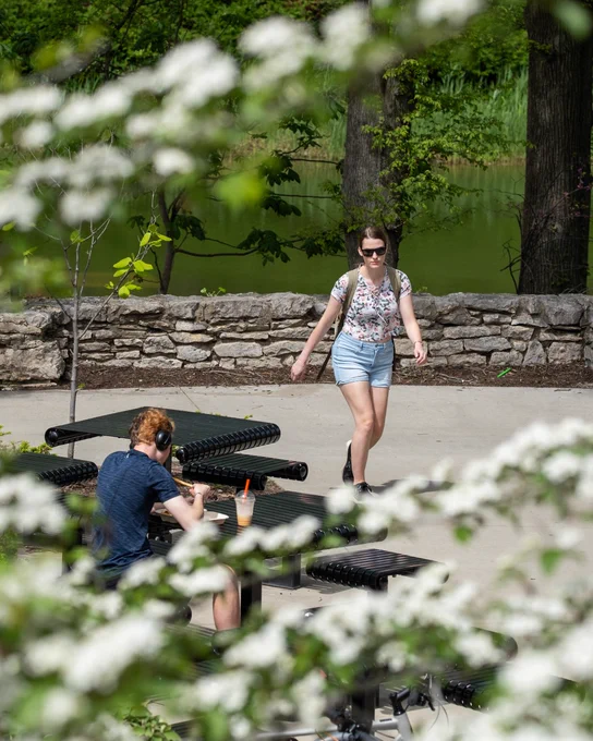 A person wearing sunglasses walks on a path beside a pond, framed by blooming trees. Another person sits at a black metal picnic table with headphones on, working on a laptop. The setting is a peaceful outdoor area with greenery and stone walls.