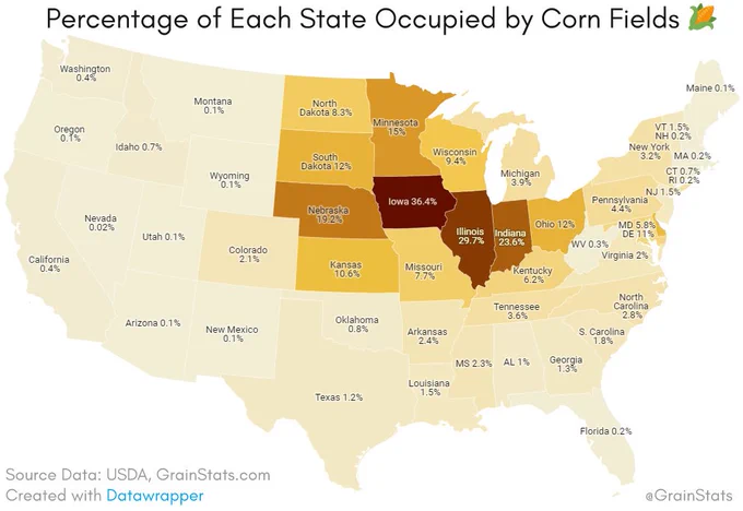 Percentage of Each State Occupied by Corn Fields 🌽