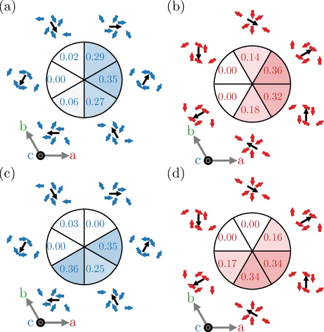 Fig. 6.
Domain distribution from our fits to models III and IV. Each subfigure shows the population of each domain in the pie chart and the spin directions of each domain. The black arrows show the direction of the small magnetic moment in the domain. (a) Type III in the 
(
h
,
k
,
0
)
 plane. (b) Type IV in the 
(
h
,
k
,
0
)
 plane. (c) Type III in the 
(
h
,
0
,
l
)
 plane. (d) Type IV in the 
(
h
,
0
,
l
)
 plane.