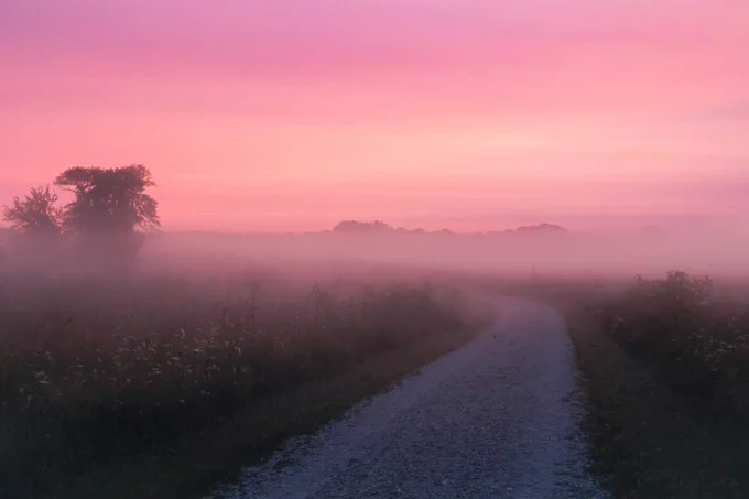 A winding gravel path leads through a misty field at dawn. The sky is a gradient of soft pink and orange hues, with silhouettes of distant trees.