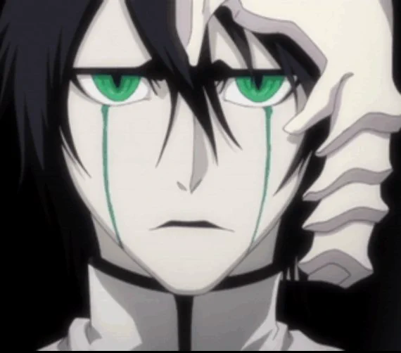 4th wall ulquiorra bcus his eyes see things or whatever 