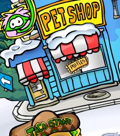 The Pet Shop for Summer Splash!