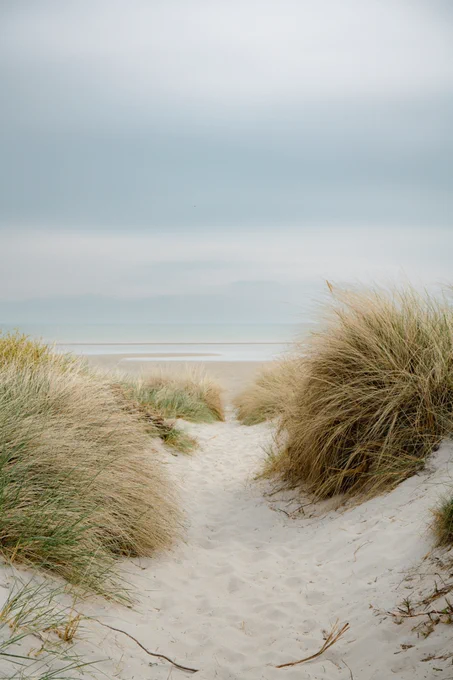 Photography submitted to freestock by Max Bohme