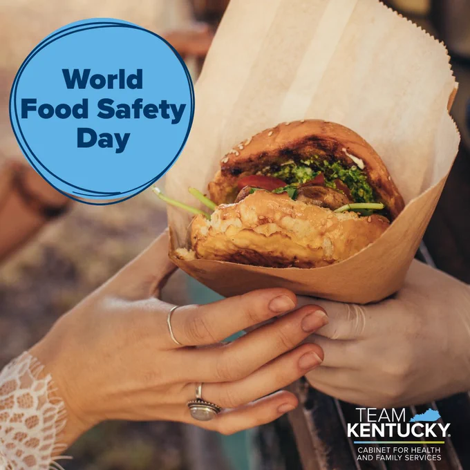 World Food Safety Day the team Kentucky cabinet for health and family services logo