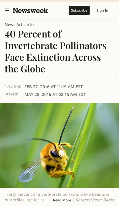 40 Percent of Invertebrate Pollinators Face Extinction Across the Globe

