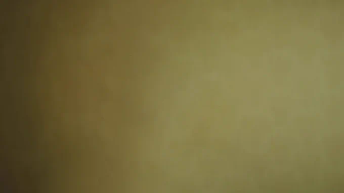 An empty Backrooms background.