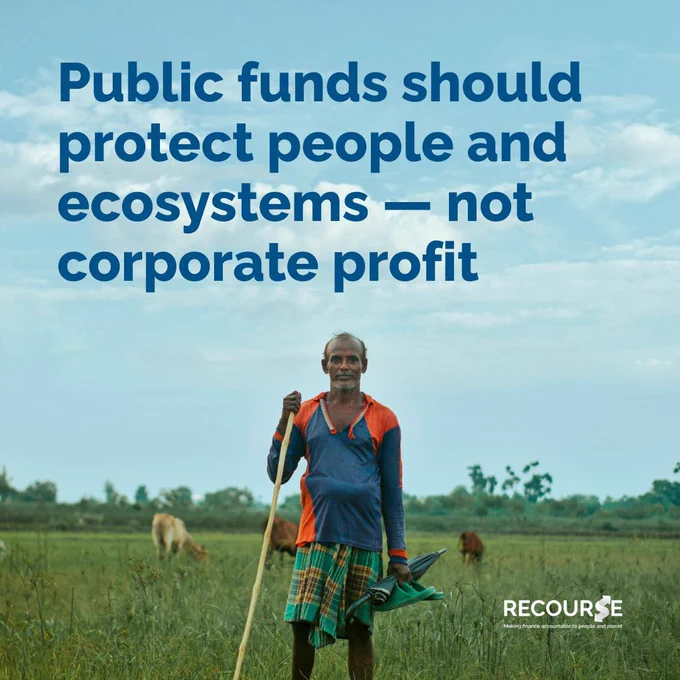 Blue text on image says "Public funds should protect people and ecosystems — not corporate profit". Image of Indian man looking at the camera, standing in field of cows, holding a stick. Blue skies and green field. Recourse logo in bottom corner. 
