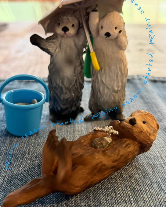 梅雨入り、、、ちびキラちゃん🦦🌟に相合傘してもらってご機嫌そうなちびメイちゃん🦦🔺