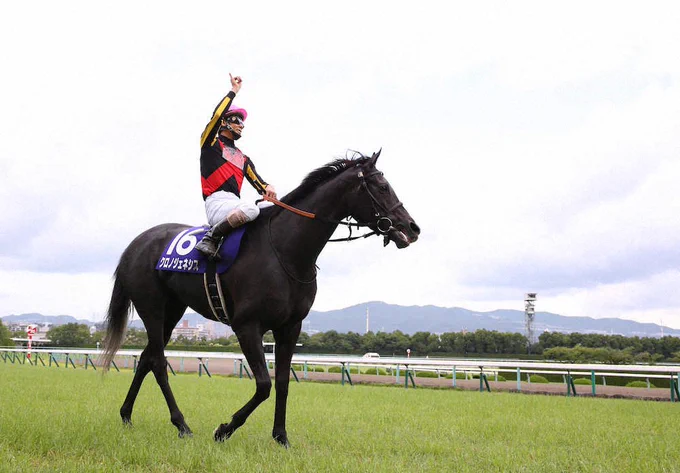 Chrono Genesis, 2020 Takarazuka Kinen
Photo by 亀井直樹

Credit: https://keiba.sponichi.co.jp/news/20200628s00004048296000c