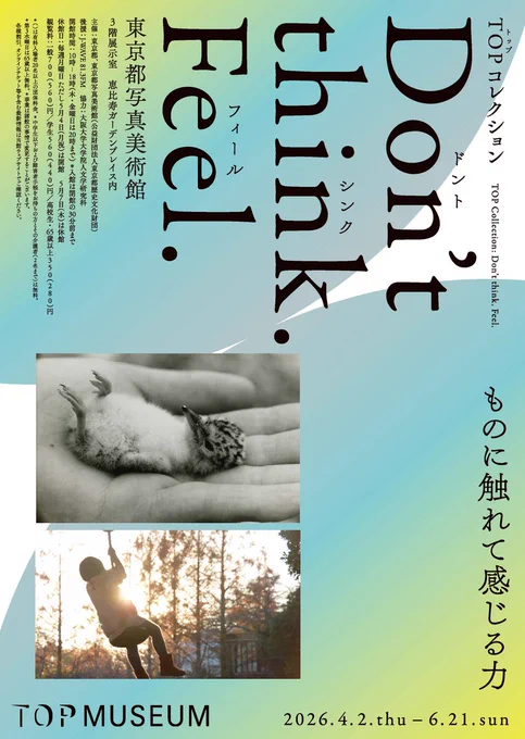 開催中の展覧会のチラシ画像