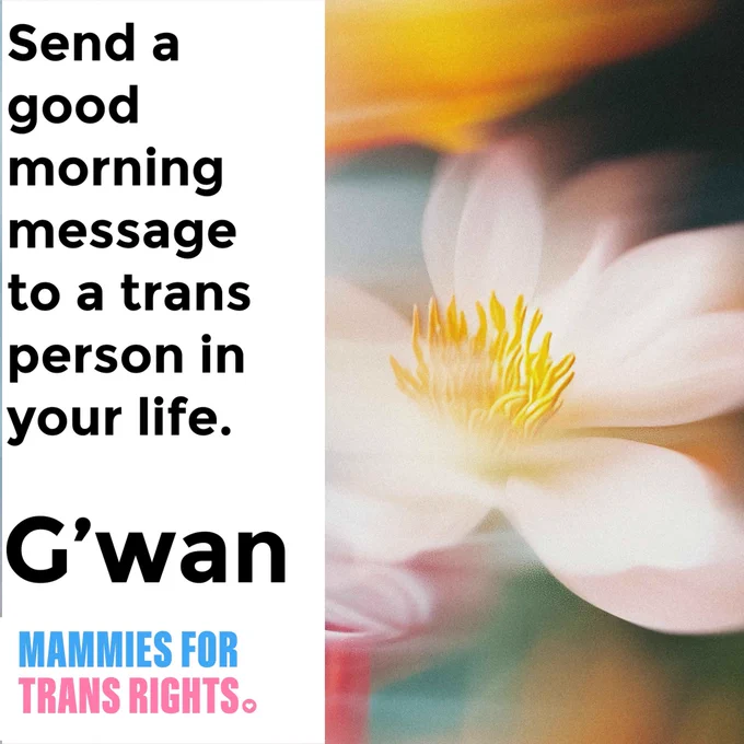 Send a good morning message to a trans person in your life.