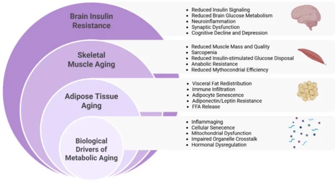 Ref- https://www.sciencedirect.com/science/article/pii/S1568163726001728?via=ihub