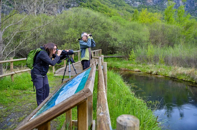 Descobreix la riquesa ornitològica que uneix el Pirineu de Lleida 🌲 i les Terres de l’Ebre.