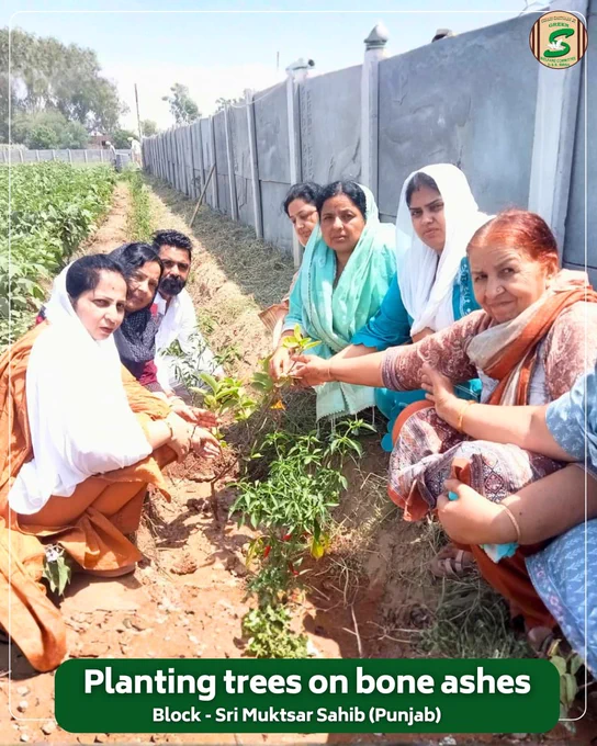 यादों को हरियाली में बदलना सबसे सुंदर श्रद्धांजलि है।🌱

अपने प्रियजन की स्मृति को चिरस्थायी बनाने के लिए, श्री मुक्तसर साहिब के एक परिवार ने अस्थियों पर पौधा लगाकर उन्हें हरित श्रद्धांजलि अर्पित की। संत डॉ. संत डॉ. गुरमीत राम रहीम सिंह जी इन्सां की प्रेरणा से किया गया यह नेक कार्य न केवल अपने प्रियजन की यादों को जीवित रखेगा, बल्कि प्रकृति को भी जीवन का अनमोल उपहार देगा।