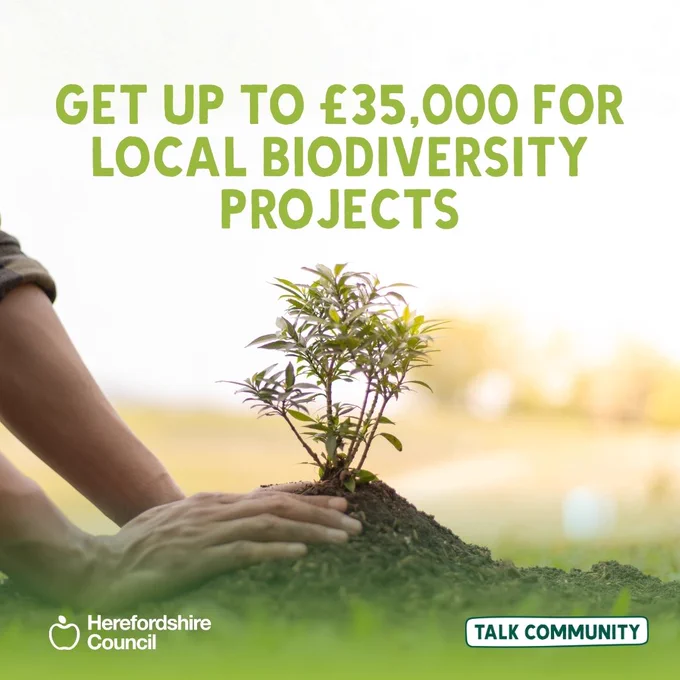 Hands planting a sapling with text about funding for local biodiversity projects.