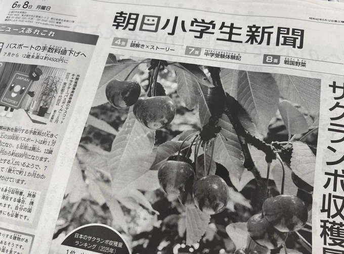 白黒印刷になった、６月８日付の朝日小学生新聞１面。サクランボの写真などが白黒で印刷されている。