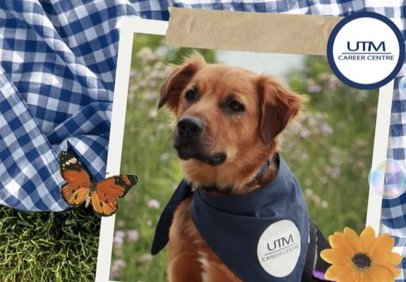 A dog wearing a blue bandana with the UTM Career Centre logo is pictured outdoors. A butterfly and a sunflower are in the foreground. A UTM Career Centre emblem is in the top right corner. A checkered fabric is partially visible in the background.
