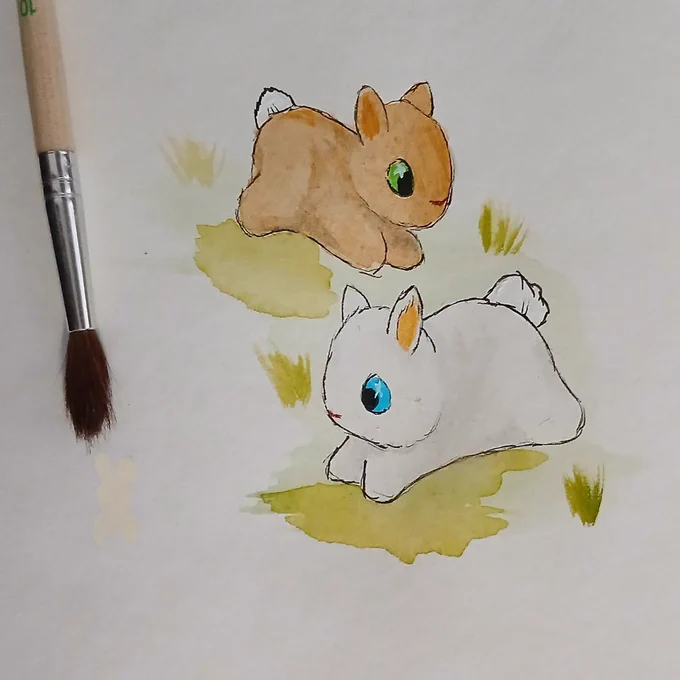 Chow and Butternut the bunnies hopping in grass