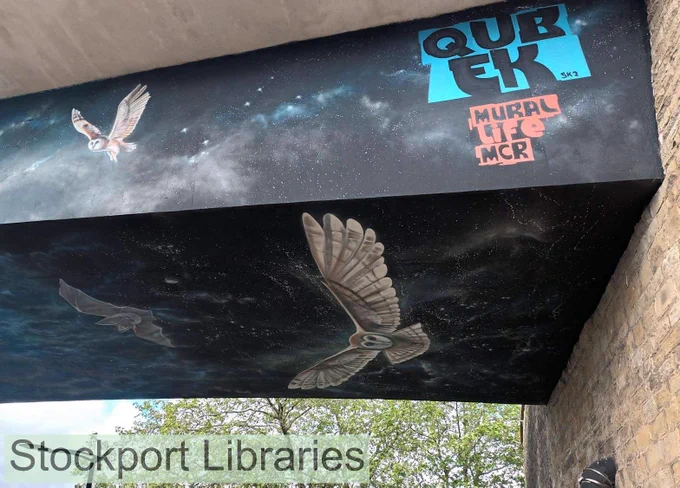 Mural of owls flying through a starry night sky on the underside of a bridge, with graffiti text.