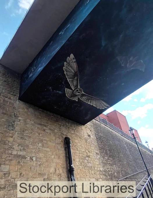 Mural of a barn owl flying against a night sky, painted on the underside of a bridge.