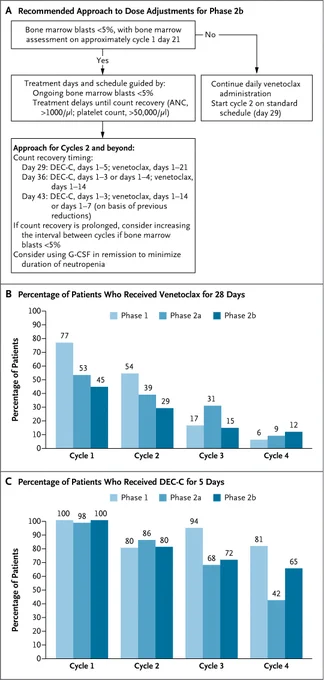 This image contains a multi-section figure related to dose adjustments for a study. Section A is a flowchart titled "Recommended Approach to Dose Adjustments for Phase 2b." Section B is a graph showing the percentage of patients who received venetoclax for 28 days across cycles 1 to 4 in Phase 1, Phase 2a, and Phase 2b. Section C presents a graph displaying the percentage of patients who received DEC-C for 5 days over the same cycles and phases.