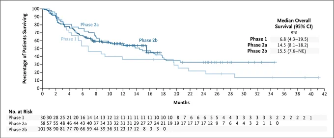 Survival curve graph depicting the percentage of patients surviving over 42 months across three study phases: Phase 1, Phase 2a, and Phase 2b. Phases 2a and 2b have separate lines. Median overall survival is noted, with Phase 1 at 6.8 months, Phase 2a at 14.5 months, and Phase 2b at 17.5 months. A table below shows the number of patients at risk for each phase.