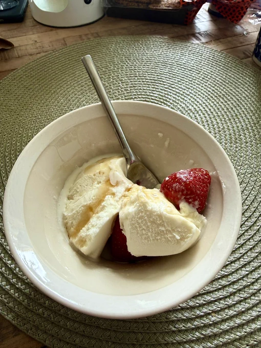 Coconut milk ice cream