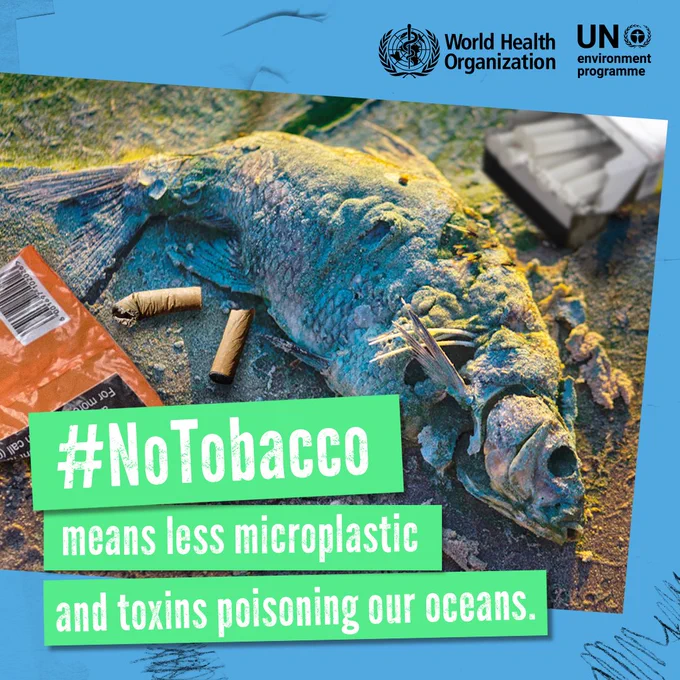 Dead fish covered in cigarette butts and microplastics on a polluted ocean shore highlighting tobacco's environmental harm.