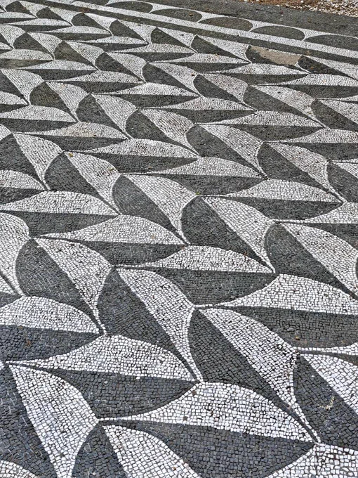 BLACK AND WHITE GEOMETRIC MOSAIC, C. 215-216 CE. APODYTERIUM, BATHS OF CARACALLA

Here we see a monochrome floor with an undulating, rhythmic pattern of stylized leaf shapes. The interlocking black and white curves possess a rather cheeky thrust, perhaps a nod to the diversity of uses available to bathers after they disrobed. The lived reality of these rooms is captured in the C1 CE poem 59 of the Carmina Priapea, which describes a father-and-son team, the father robbing a client’s clothes while he is busy having sex with the son. For those seeking safer, less public pleasure-taking, a nearby staircase in a subordinate room led to exclusive upper suites. Archaeology reveals these were smaller heated chambers with private latrines and drains still bearing the chemical traces of luxury massage oils. This geometric mosaic was at the bottom of a strict chromatic hierarchy, made for high traffic passage toward more spectacular public spaces and, on the floor above, more intimate ones. 