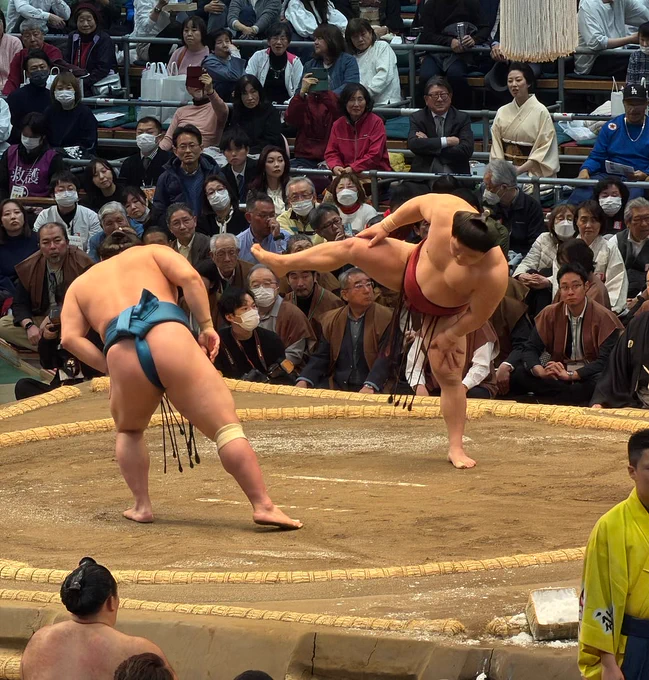 SUMO