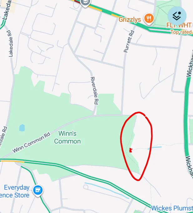 Winns Common and its wooded areas require protection, drug and alcohol use, unauthorised camping and the resultant litter and human waste are spoiling this invaluable green space 
