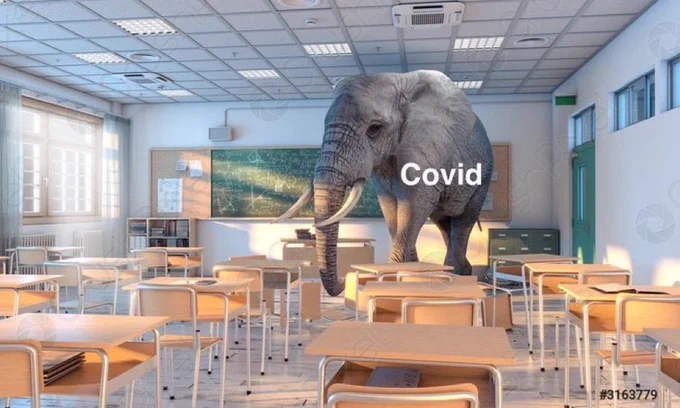 A Covid elephant in the room 