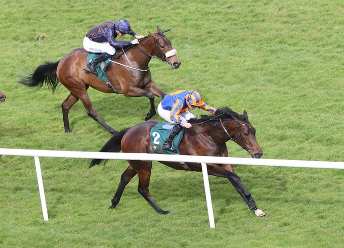 True Love wins Priory Belle Stakes Gr.3