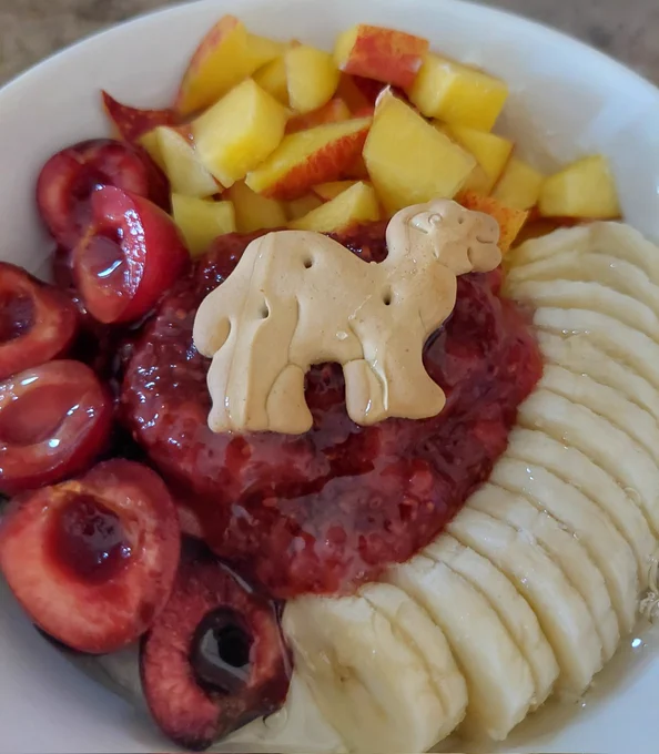 0% fat greek yoghurt
psyllium husk
vanilla pudding mix
white choc flavor drops

cherries
nectarine
banana
strawberry jam
animal cookie
chicory root syrup