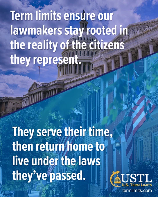 A split-image graphic shows the U.S. Capitol building on the top half and a residential street with an American flag on the bottom half. Overlaid text states, "Term limits ensure our lawmakers stay rooted in the reality of the citizens they represent. They serve their time, then return home to live under the laws they’ve passed." The bottom right corner features the U.S. Term Limits logo and website URL, termlimits.com.
