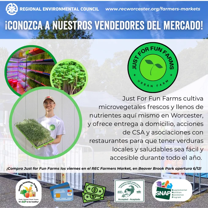 ¡Conozca a los vendedores del Mercado de Agricultores del REC!
Just For Fun Farms cultiva microvegetales frescos y repletos de nutrientes aquí mismo en Worcester, ofreciendo entrega a domicilio, cuotas de CSA y colaboraciones con restaurantes para hacer que los vegetales locales y saludables sean fáciles de obtener y accesibles durante todo el año.
¡Compre en Just for Fun Farms los viernes en el Mercado de Agricultores del REC en Beaver Brook Park, que inaugura el 12 de junio!