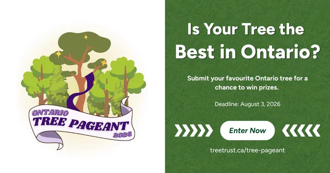 Ontario Tree Pageant 2026 contest announcement with pageant logo and submission details