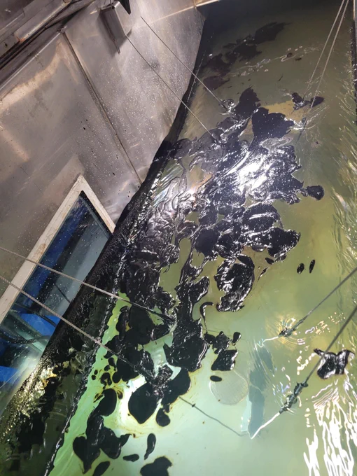 Thick dark shapes from diluted bitumen float over water inside the simulator. 