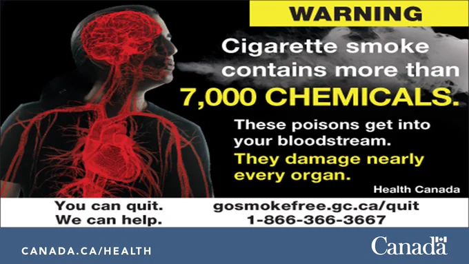 Health Canada warning poster featuring anatomical illustration of human circulatory system in red. Text warns "Cigarette smoke contains more than 7,000 CHEMICALS. These poisons get into your bloodstream. They damage nearly every organ." Bottom includes quit-smoking resources: "You can quit. We can help." with website gosmokefree.gc.ca/quit and phone 1-866-366-3667.