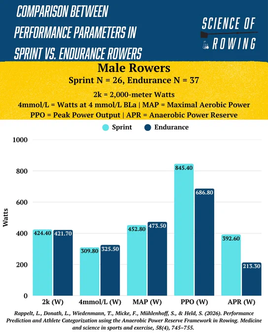 A detailed comparison chart showcasing performance parameters between sprint and endurance male rowers. The chart includes data on 2k watts, power at 4 mmol/L, maximal aerobic power, peak power output, and anaerobic power reserve.