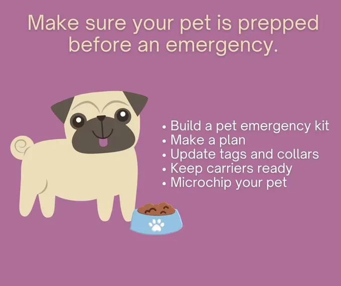 An image of a pug with a bowl of dog food is on the left. Text above and on the right reads: Make sure your pet is prepped before an emergency. -Build a pet emergency kit. - Make a plan. -Update tags and collars. -Keep carriers ready. -Microchip your pet.
