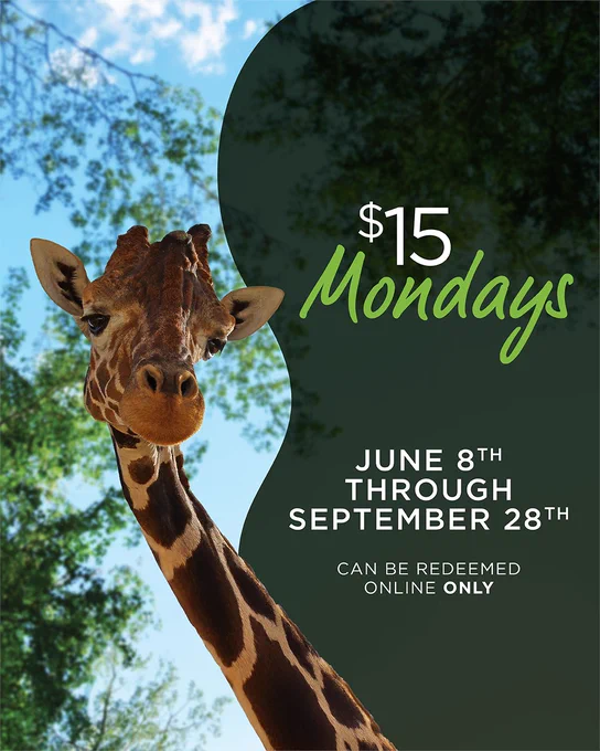 A giraffe stands in front of a background with trees and a blue sky. The text reads: "$15 Mondays, June 8th through September 28th. Can be redeemed online only.
