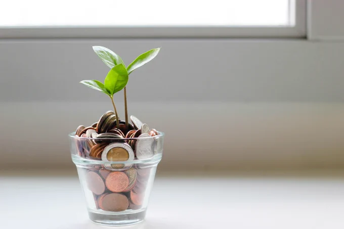 Plant growing out of a glass of coins