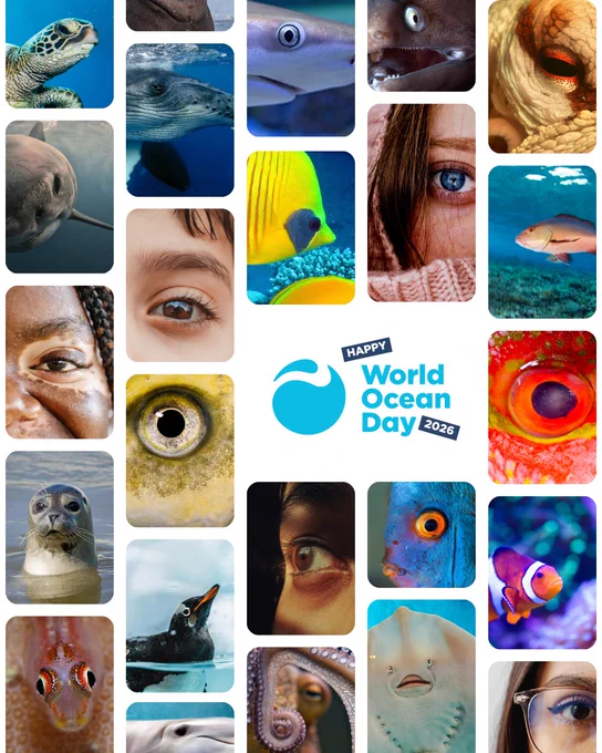 A collage of images highlighting the ocean, and human partners. Text says Happy World Ocean Day 2026. The images are on a white background. 